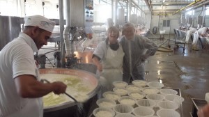 ricotta3  