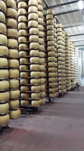 scalereparmigiano  