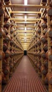 Prosciutto di Parma