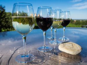 Wine tasting