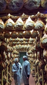 stagionaturaprosciutti1  