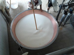 cottura parmigiano  