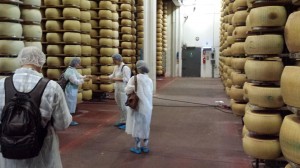 magazzino di stagionatura del Parmigiano-Reggiano