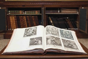 palatina_libreria (2) 